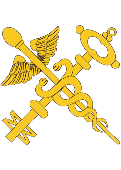 09tamoj_emb