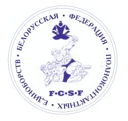532 Полконтактные единоборства