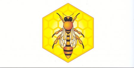 680 Белорусские пчелы