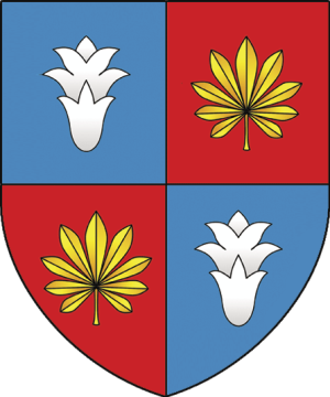 B38 RedigerovoG