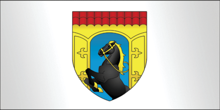 Gr11 ZelvaF