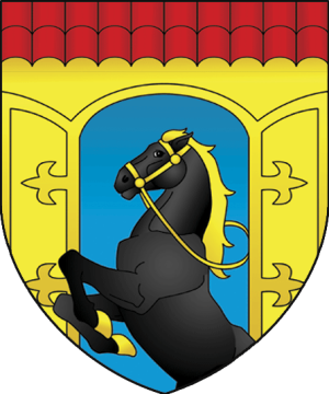 Gr11 ZelvaG