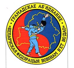 В-1561 ОО Вовинам Въет Во Дао-Э
