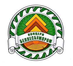 В-1673 Беллесбумпром_Э